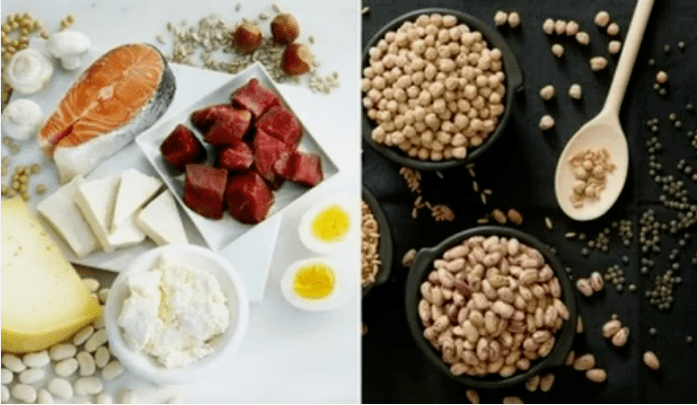 Beispiele für Protein -Ernährungsprodukte